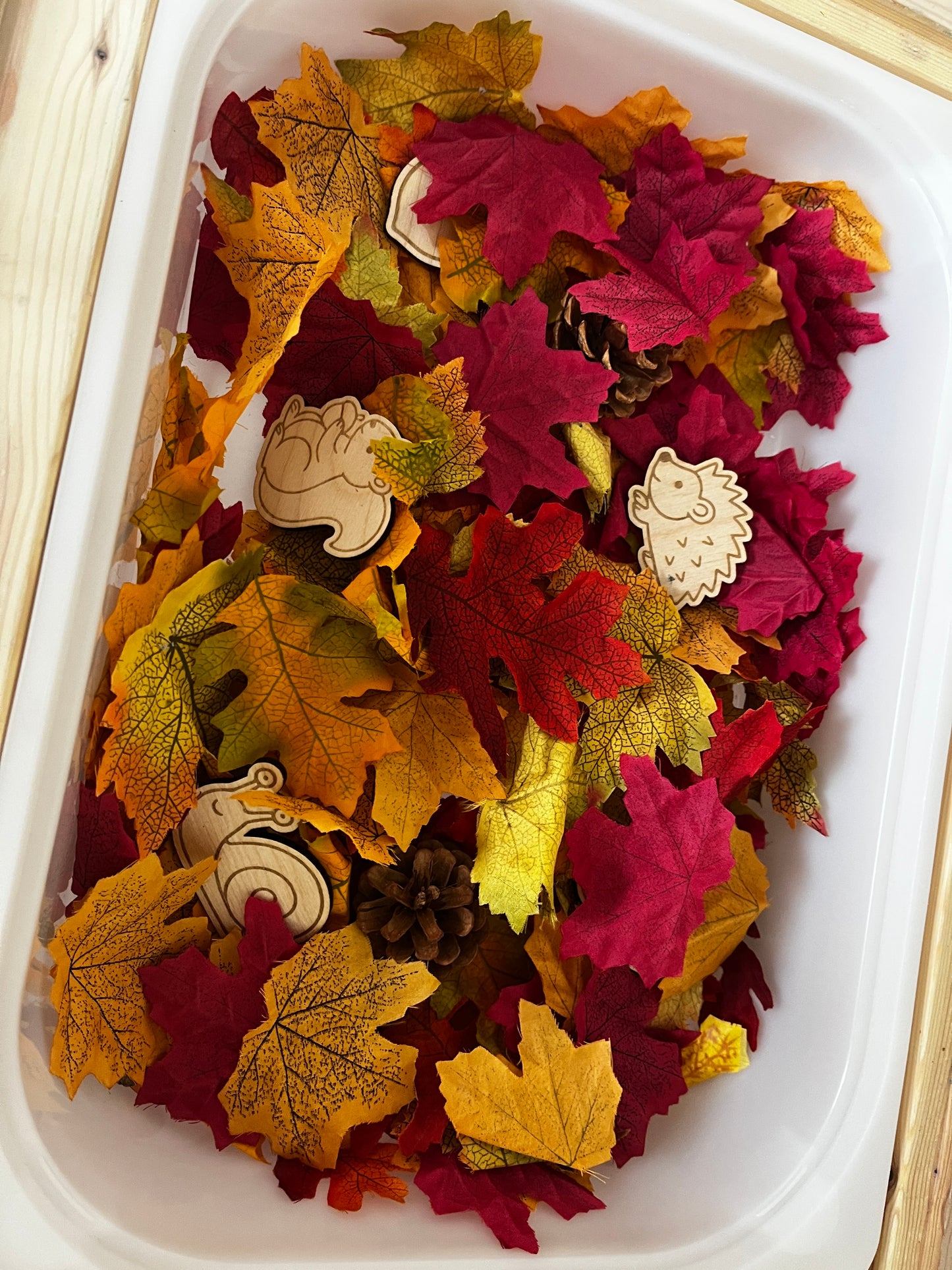 Formes d’automne à trier, Kit de 12 pièces en bois