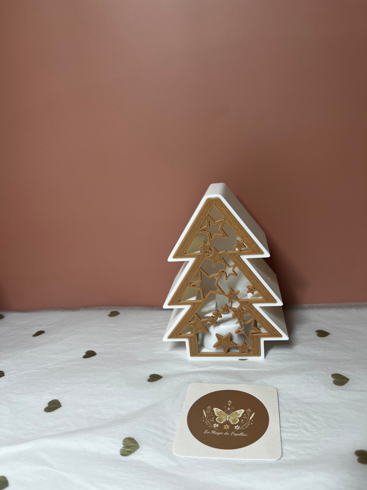Décoration lumineuse de Noël : Étoile ou Sapin