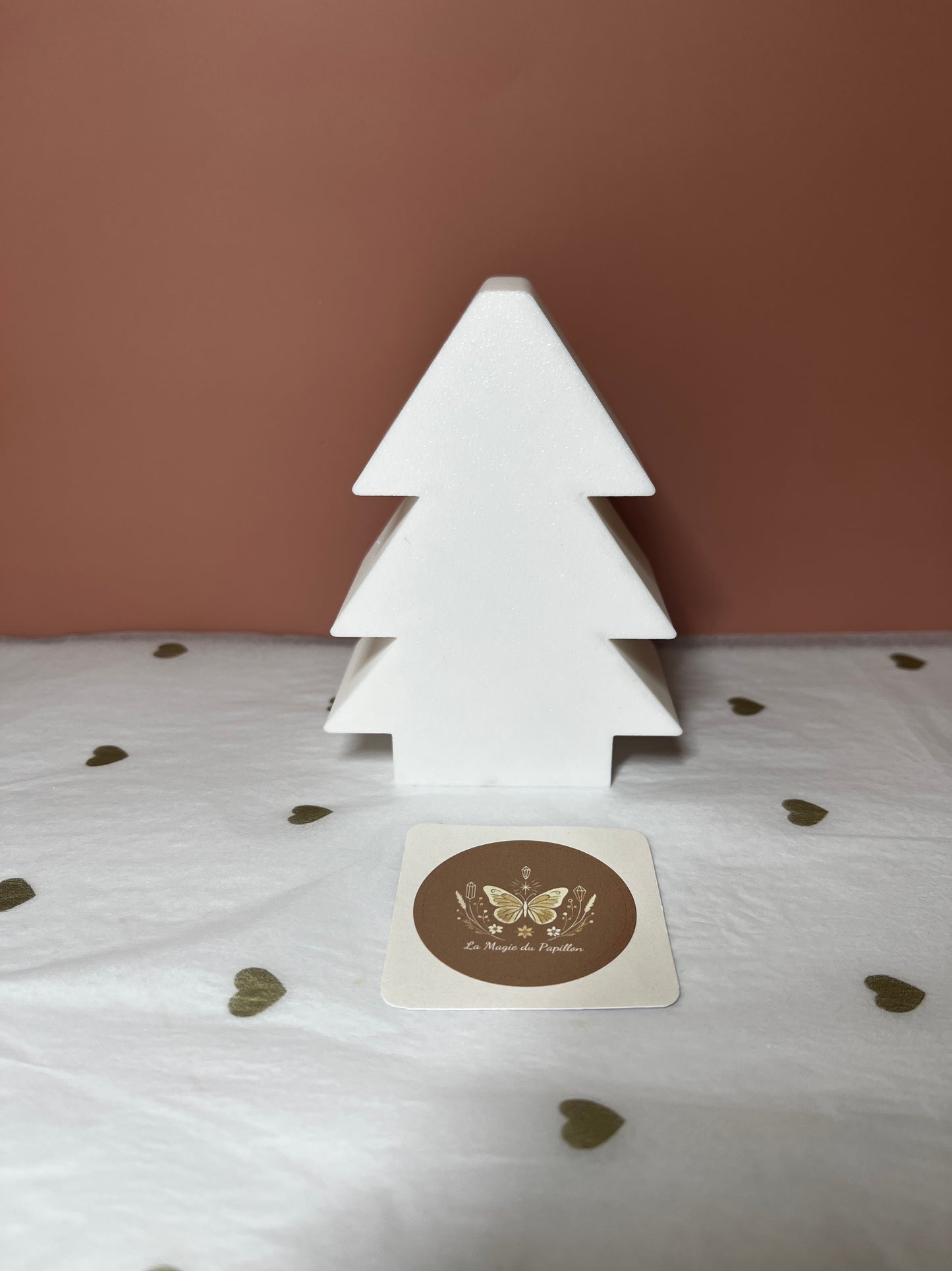 Décoration lumineuse de Noël : Étoile ou Sapin