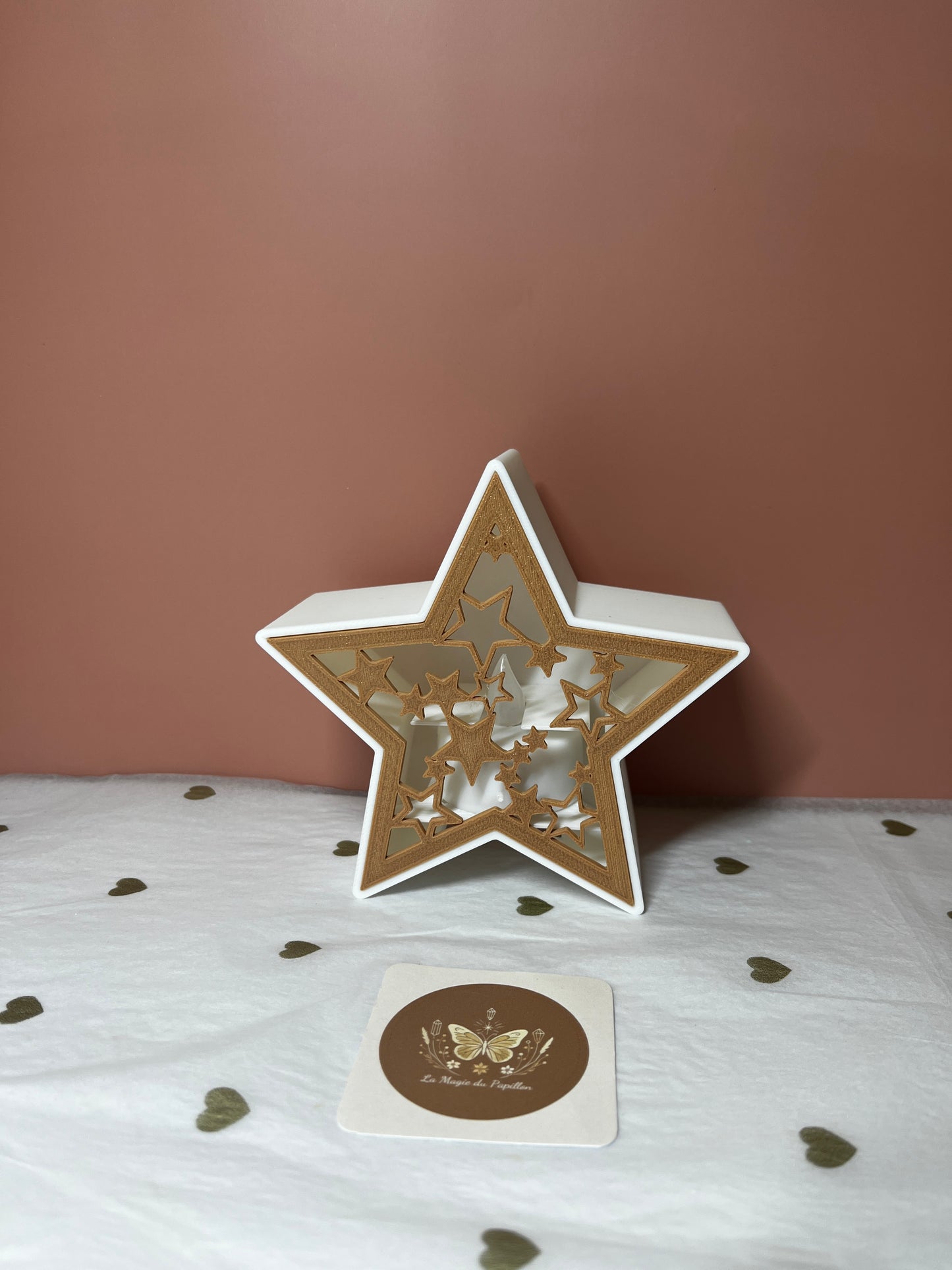 Décoration lumineuse de Noël : Étoile ou Sapin
