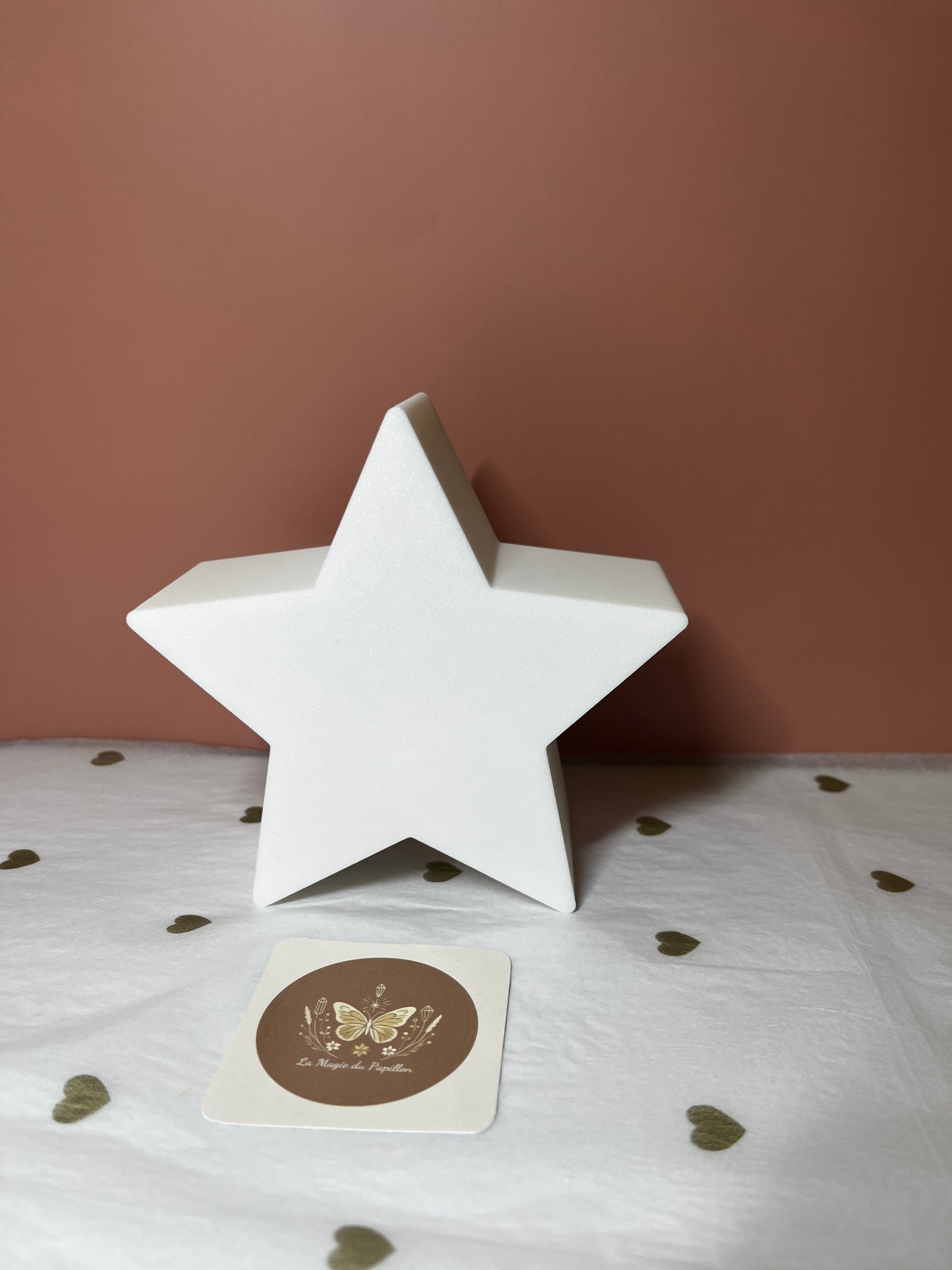 Décoration lumineuse de Noël : Étoile ou Sapin