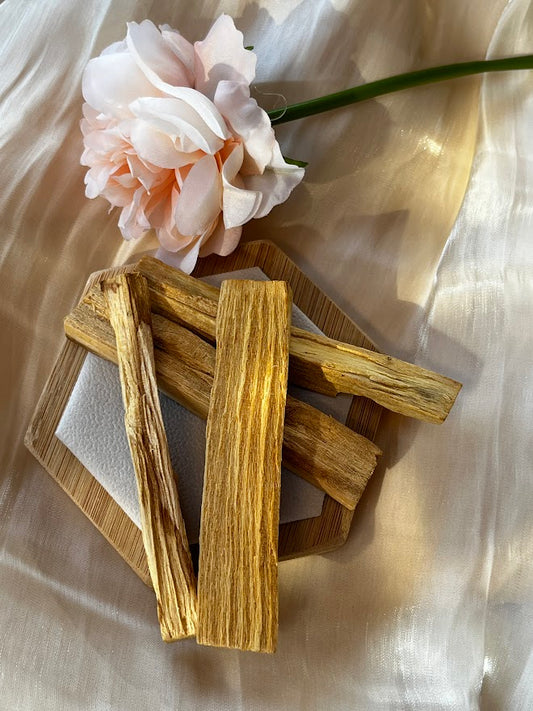 Palo Santo du Pérou ( Bois Sacré ) : Purification & Élévation Énergétique