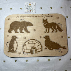 Puzzle Montessori « Je découvre le monde polaire »