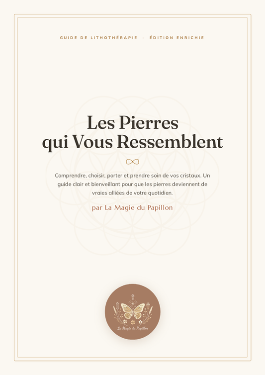 E-book : Les Pierres qui Vous Ressemblent